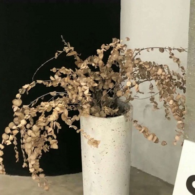 兽设细节刻画技巧兽圈社群